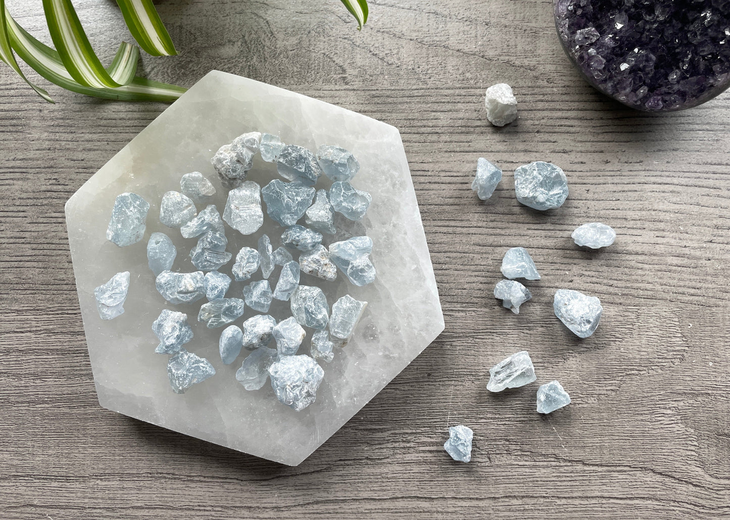 Pictured are various pieces of raw celestite.