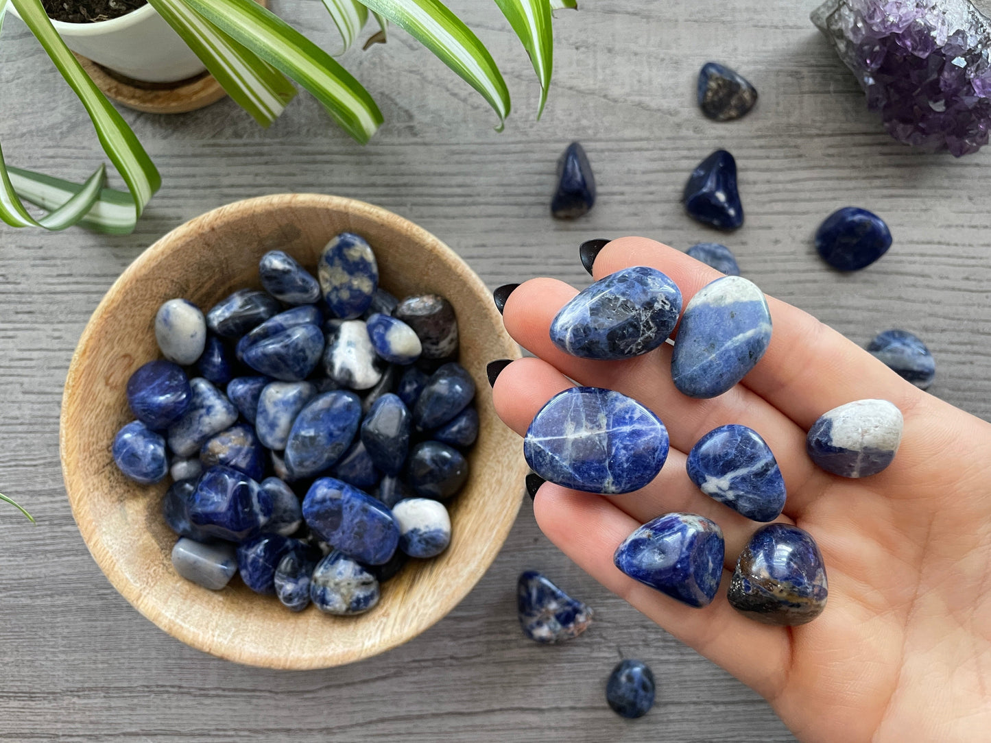 Pictured are various sodalite tumbled stones.