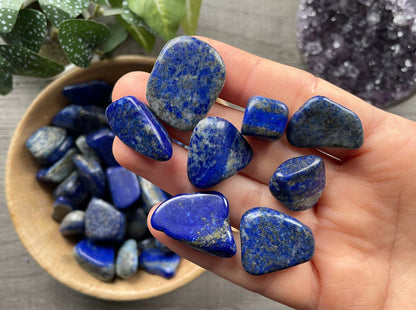 Pictured are various lapis lazuli tumbled stones.