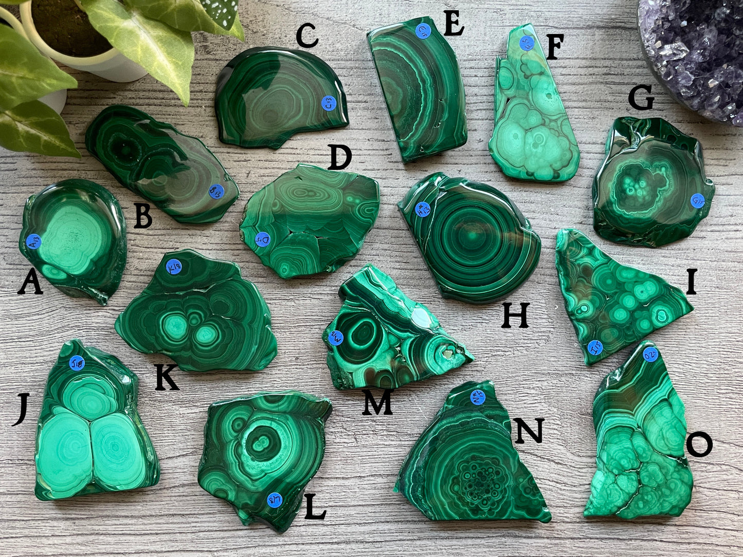 Pictured are various slabs of polished malachite.