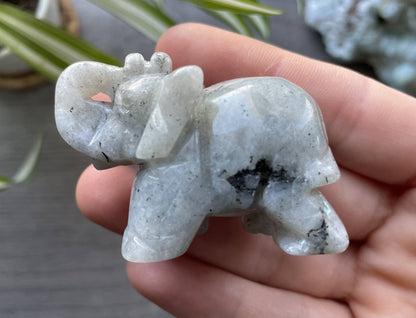 Pictured is an elephant carved out of labradorite.