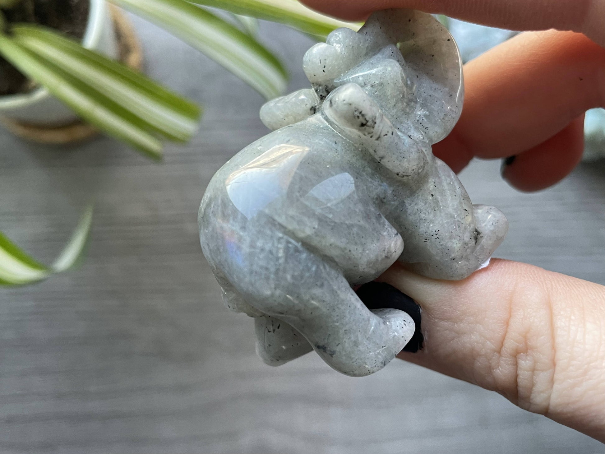 Pictured is an elephant carved out of labradorite.