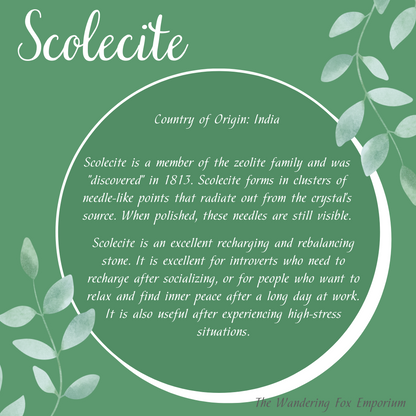 Pictured is the meaning of scolecite.