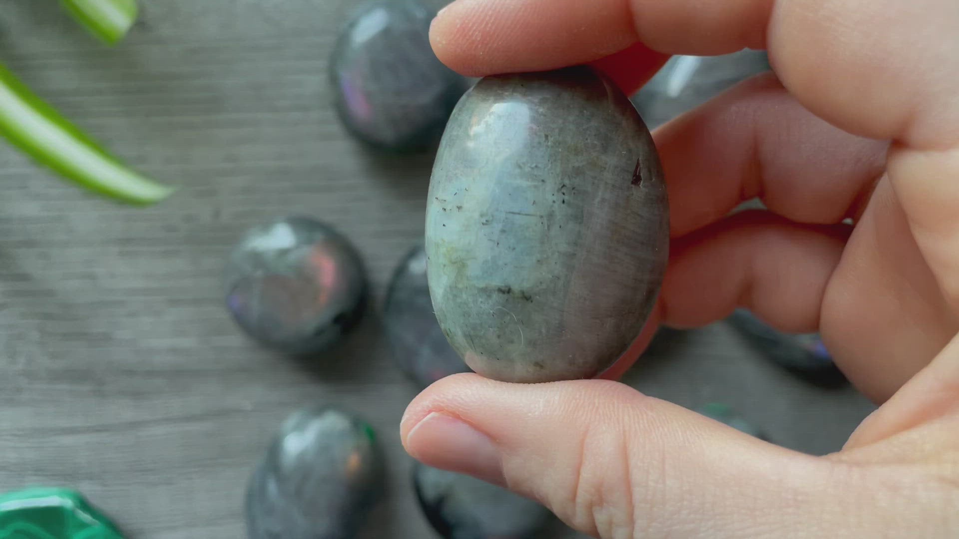Pictured are various polished labradorite palm stones.