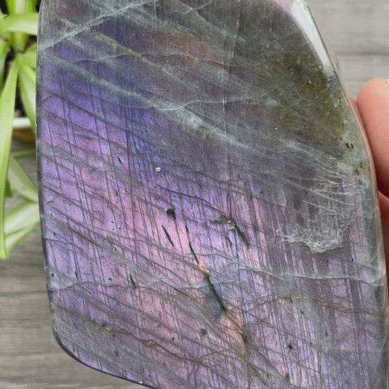 Pictured is a large labradorite freeform with a purple flash.