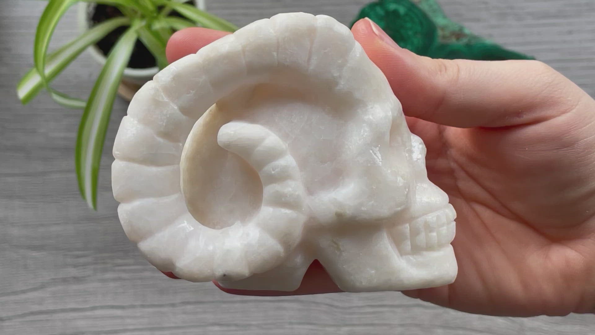 Pictured is a demon skull with horns carved out of white calcite.