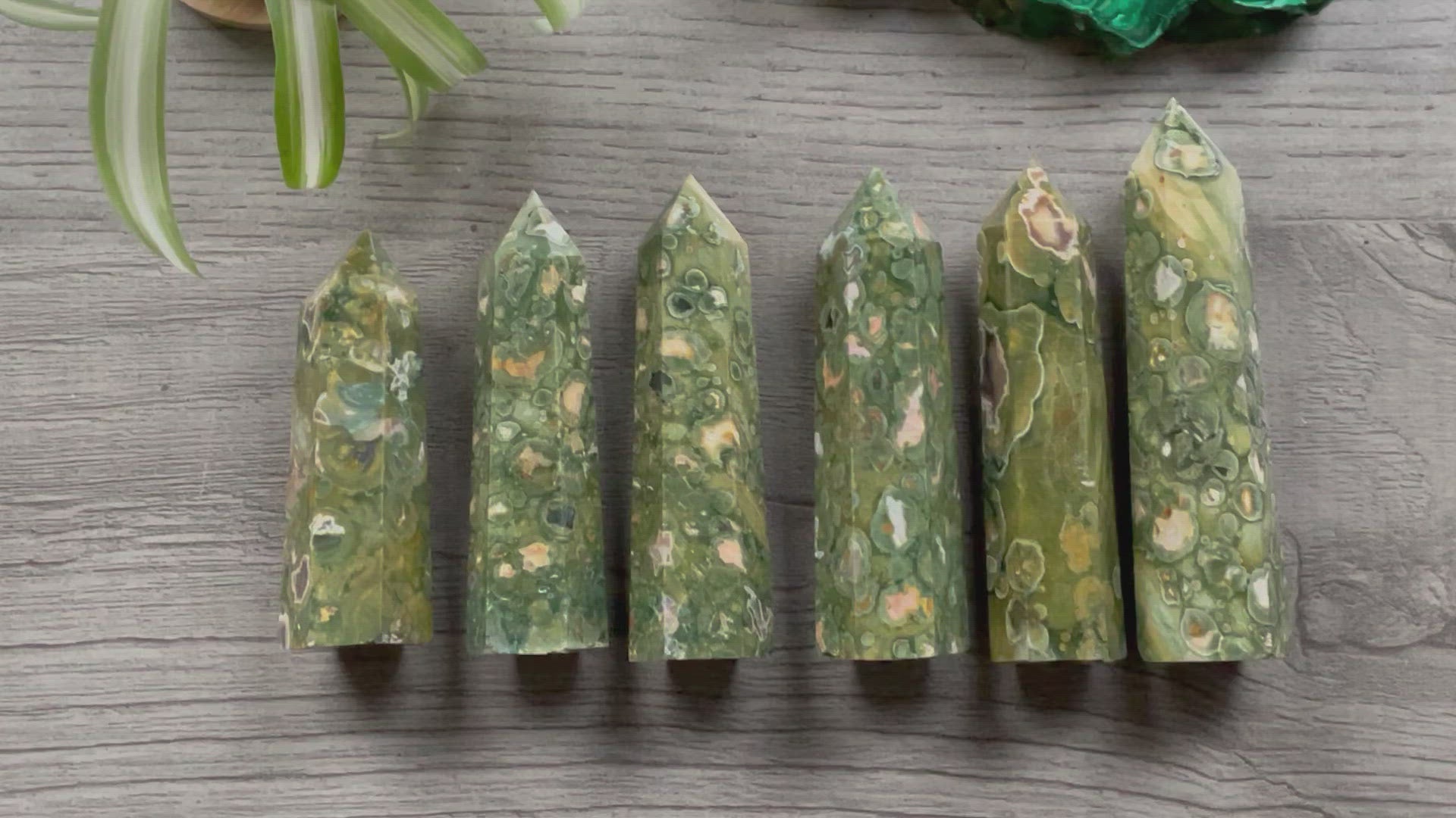 Pictured are various points of rainforest jasper.