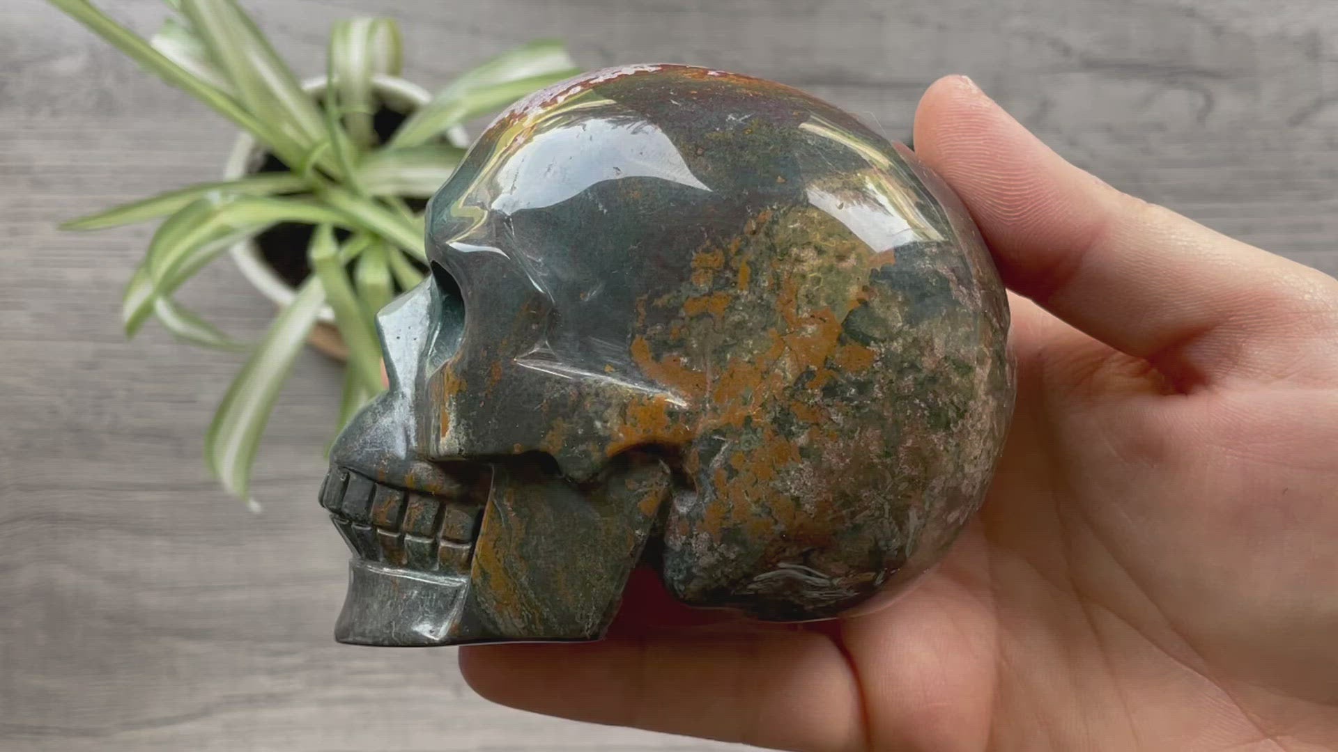 Pictured is a large skull carved out of ocean jasper or river jasper.